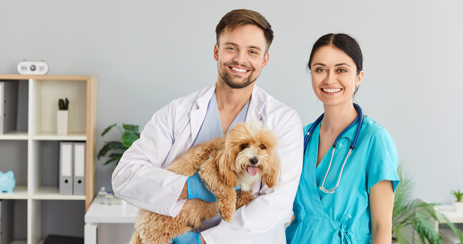 Veterinarian and nurse holding puppy in clinic